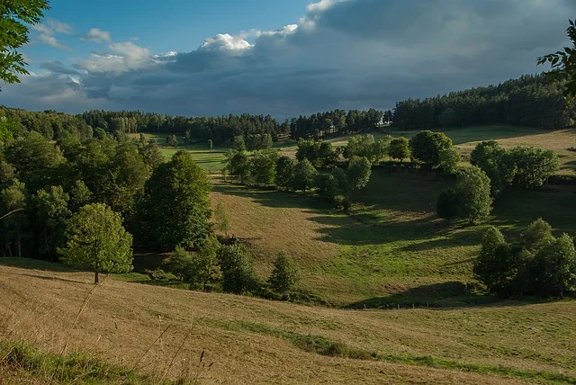 A serene garden with lush greenery in Lozère