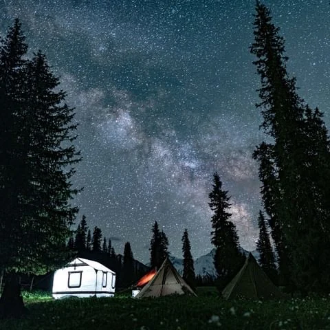 Tent set up in a scenic natural landscape with trees and mountains