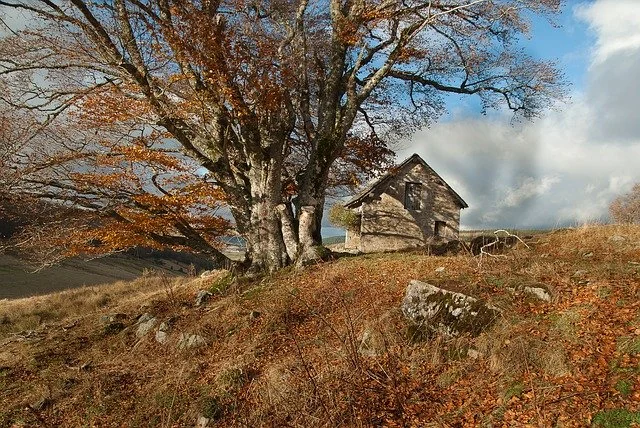 Lush green landscapes of Lozère with mountains and countryside