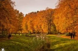 The most beautiful routes in Poland in autumn