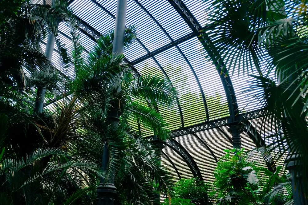 The Botanical Garden of Lyon