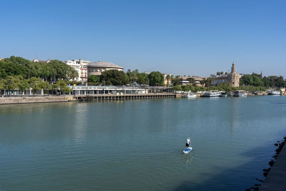 The banks of the Rhone