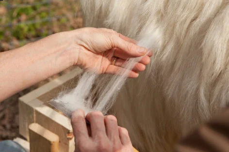 What is it? Is synthetic isolation in external clothing more efficient than natural hands?